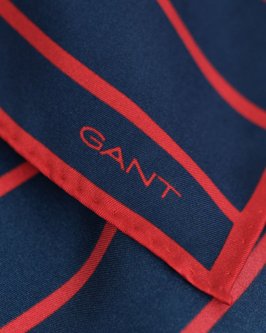 Pochette de costume rayée