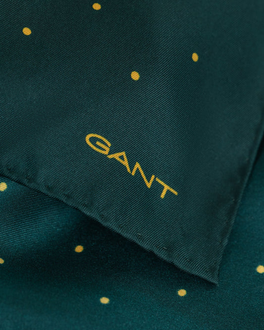 Pochette de costume à pois