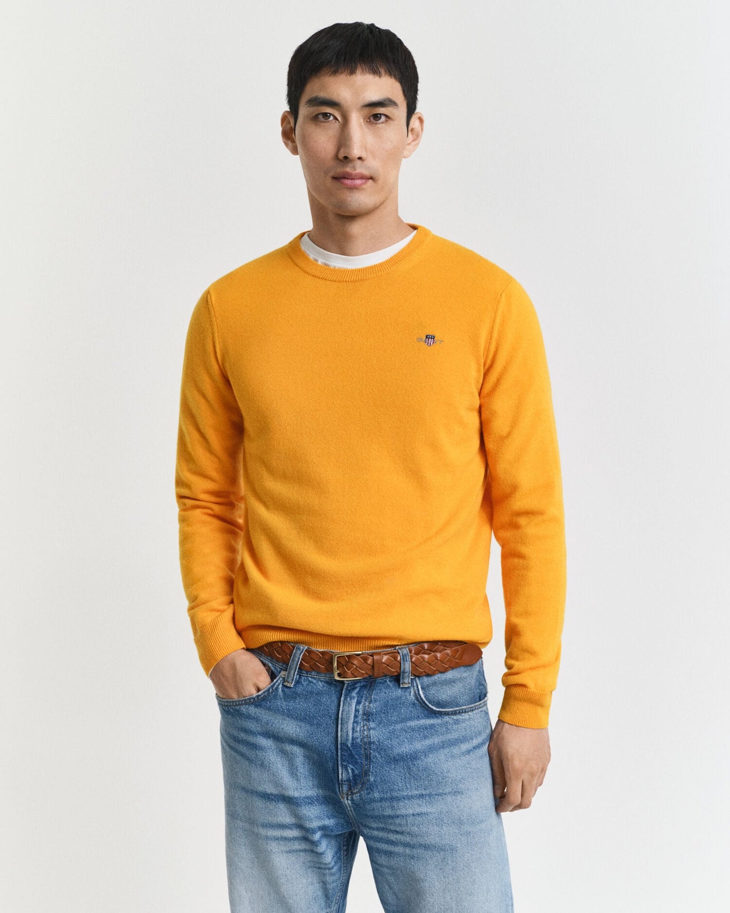 Pull ras du cou en laine d'agneau ultra-fine